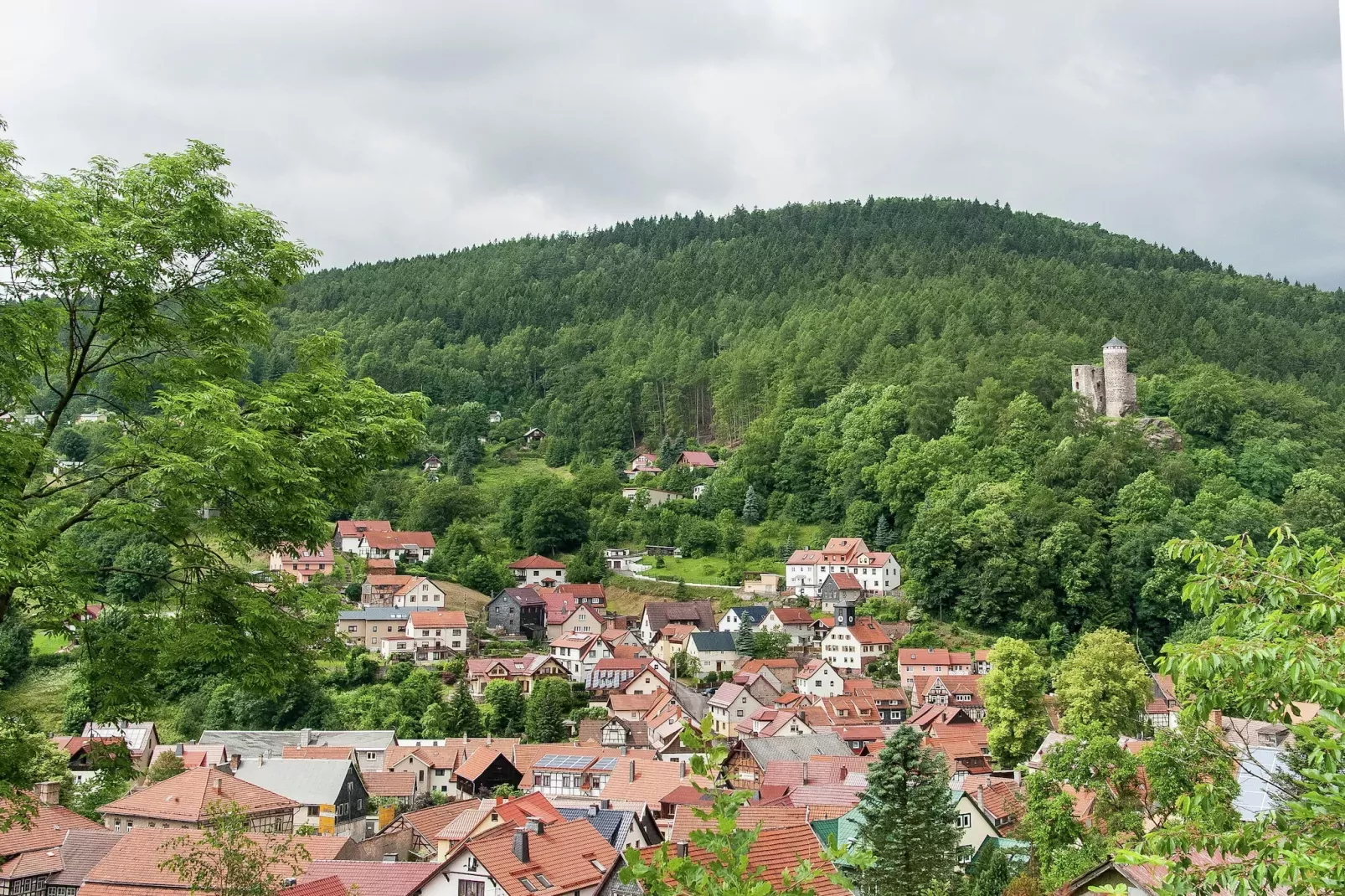 Steinbach-Hallenberg-Tuinen zomer