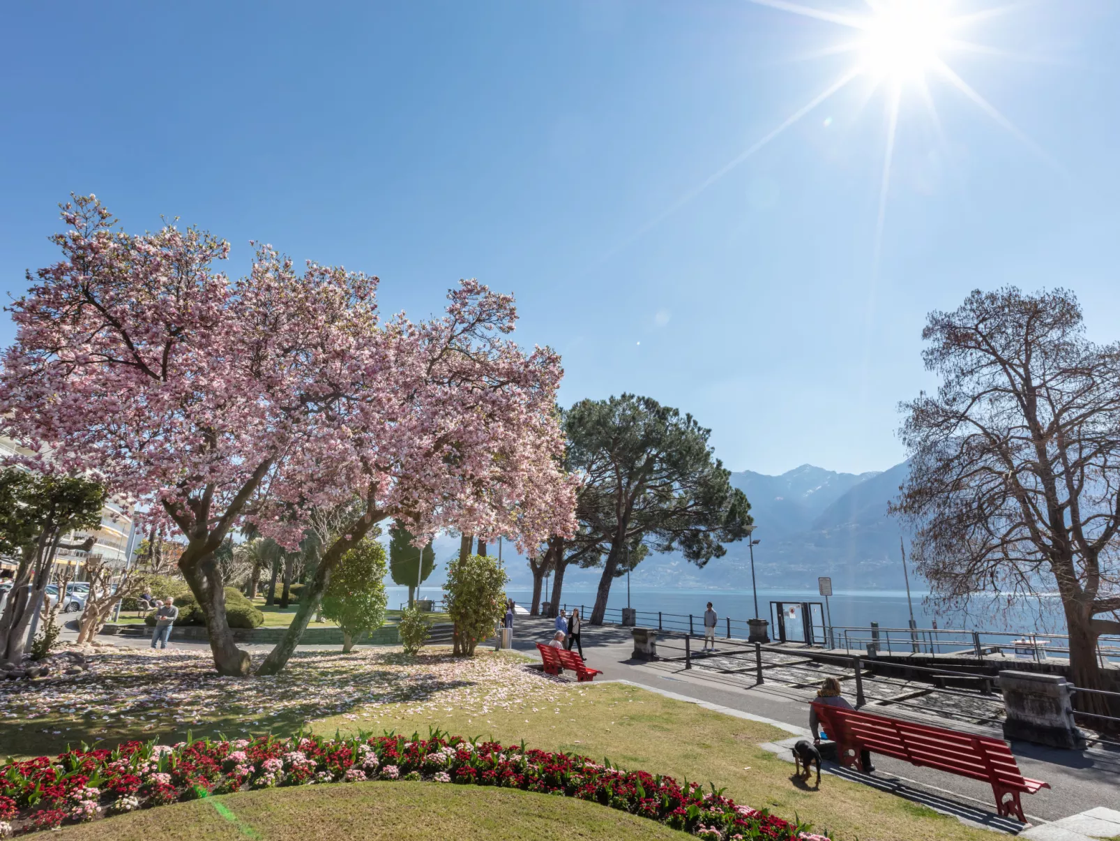 Residenza Robinia-Omgeving