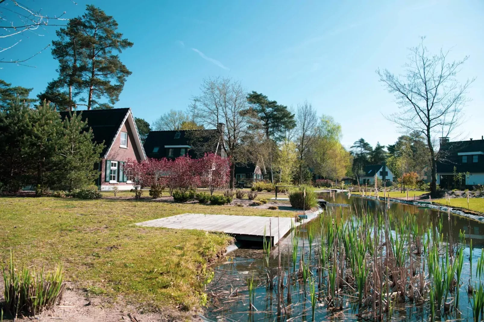 Resort De Achterhoek 18-Gebieden zomer 1km