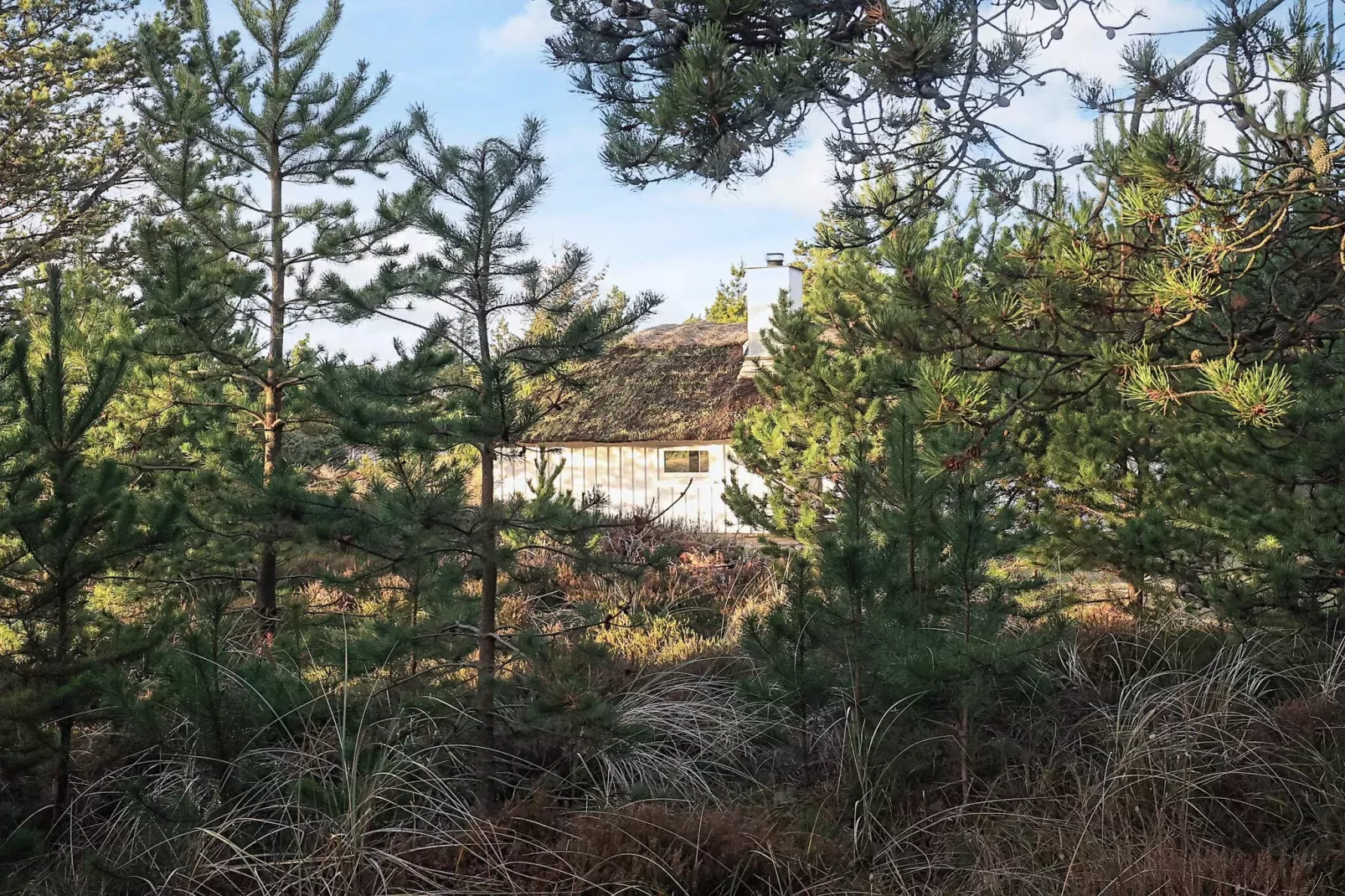 8 persoons vakantie huis in Fjerritslev-By Traum-Uitzicht