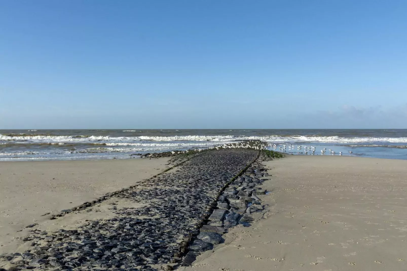 Wijde Blick 203-Gebieden zomer 5km