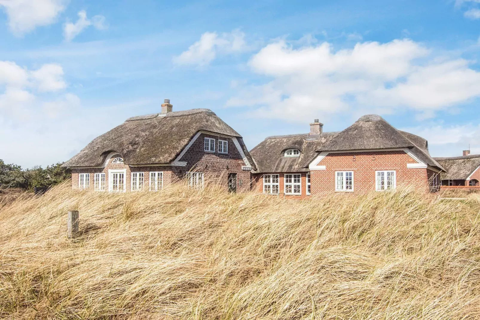 10 persoons vakantie huis in Blåvand-Uitzicht