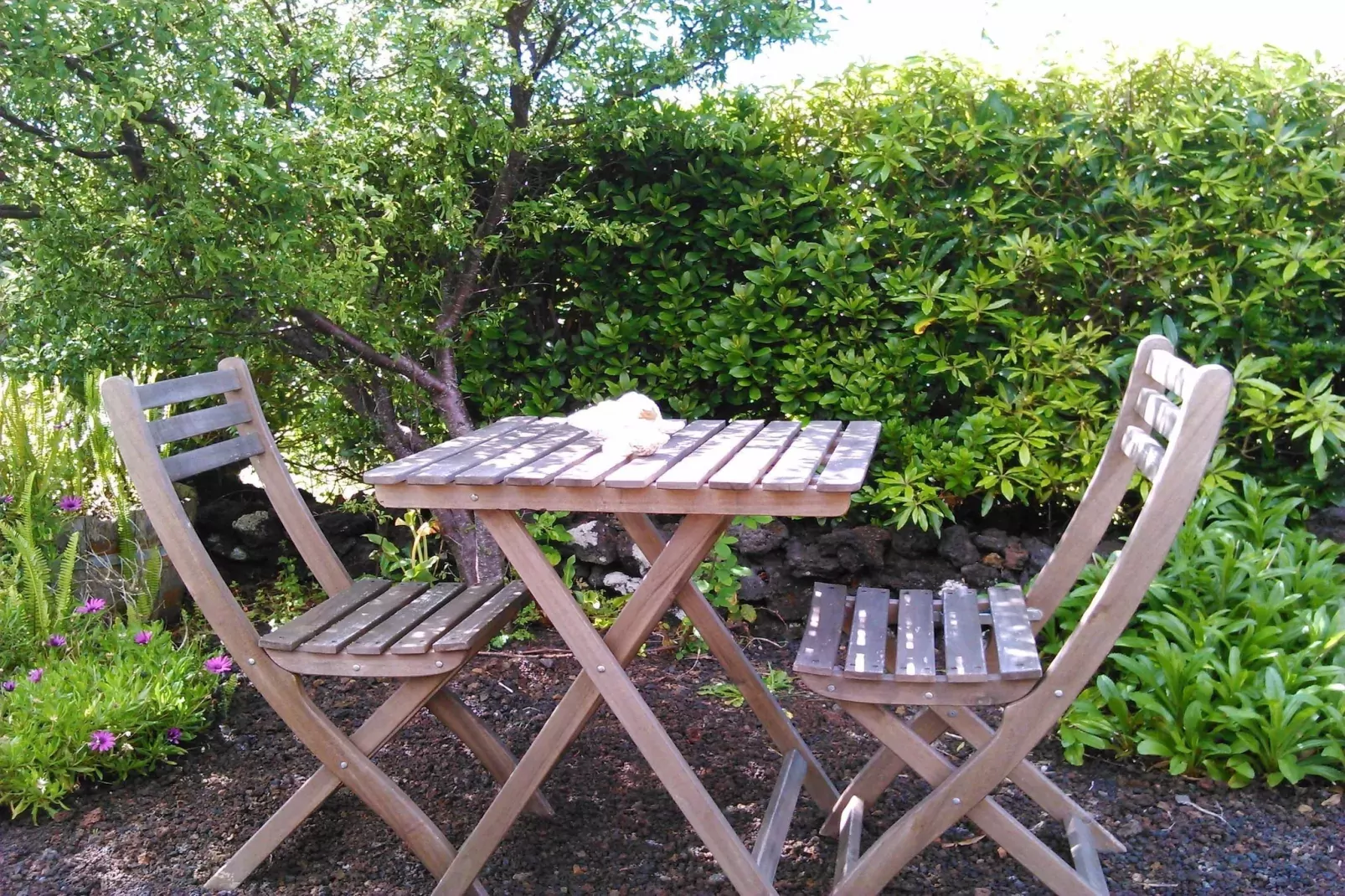 Holiday home in Praínha - Pico - Azores / Casa da Adega-Tuinen zomer