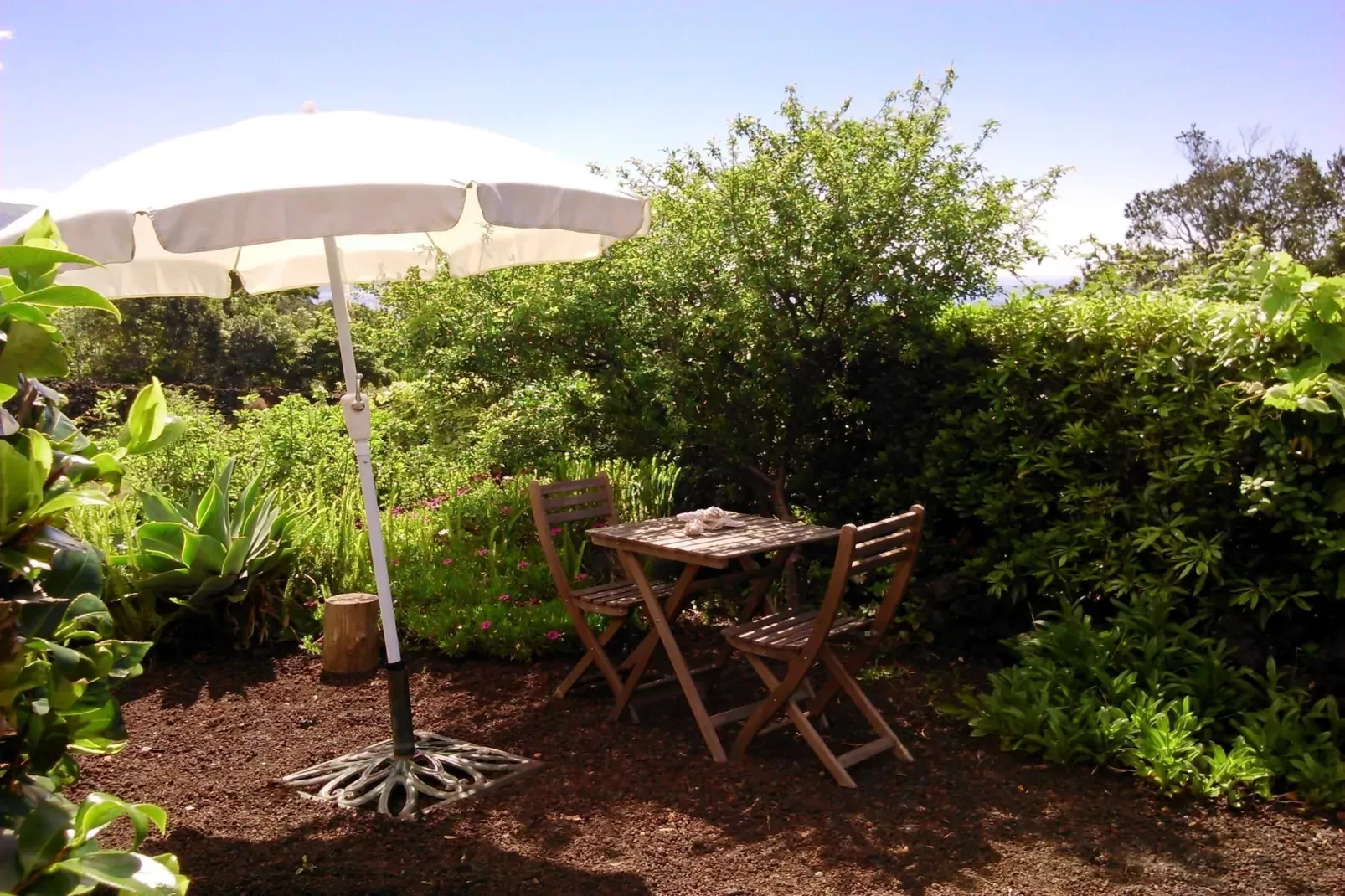 Holiday home in Praínha - Pico - Azores / Casa da Adega-Tuinen zomer