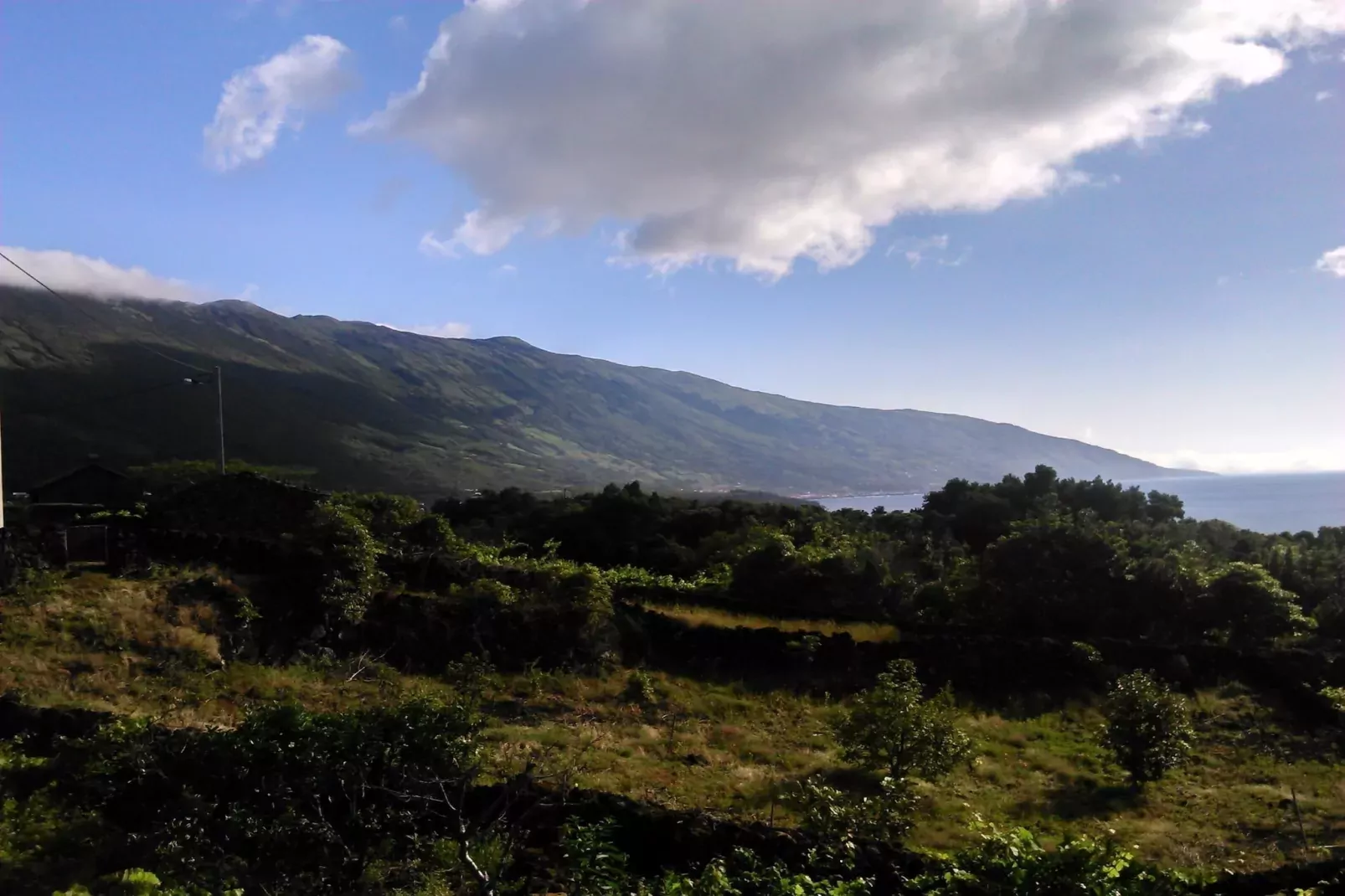 Holiday home in Praínha - Pico - Azores / Casa da Adega-Gebieden zomer 5km