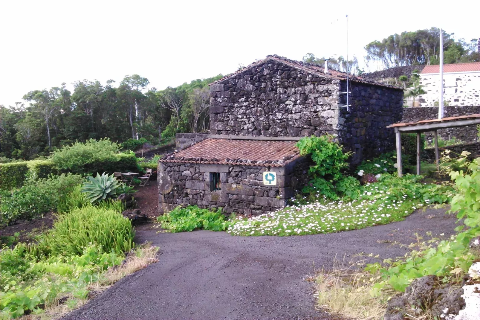 Holiday home in Praínha - Pico - Azores / Casa da Adega-Buitenkant zomer