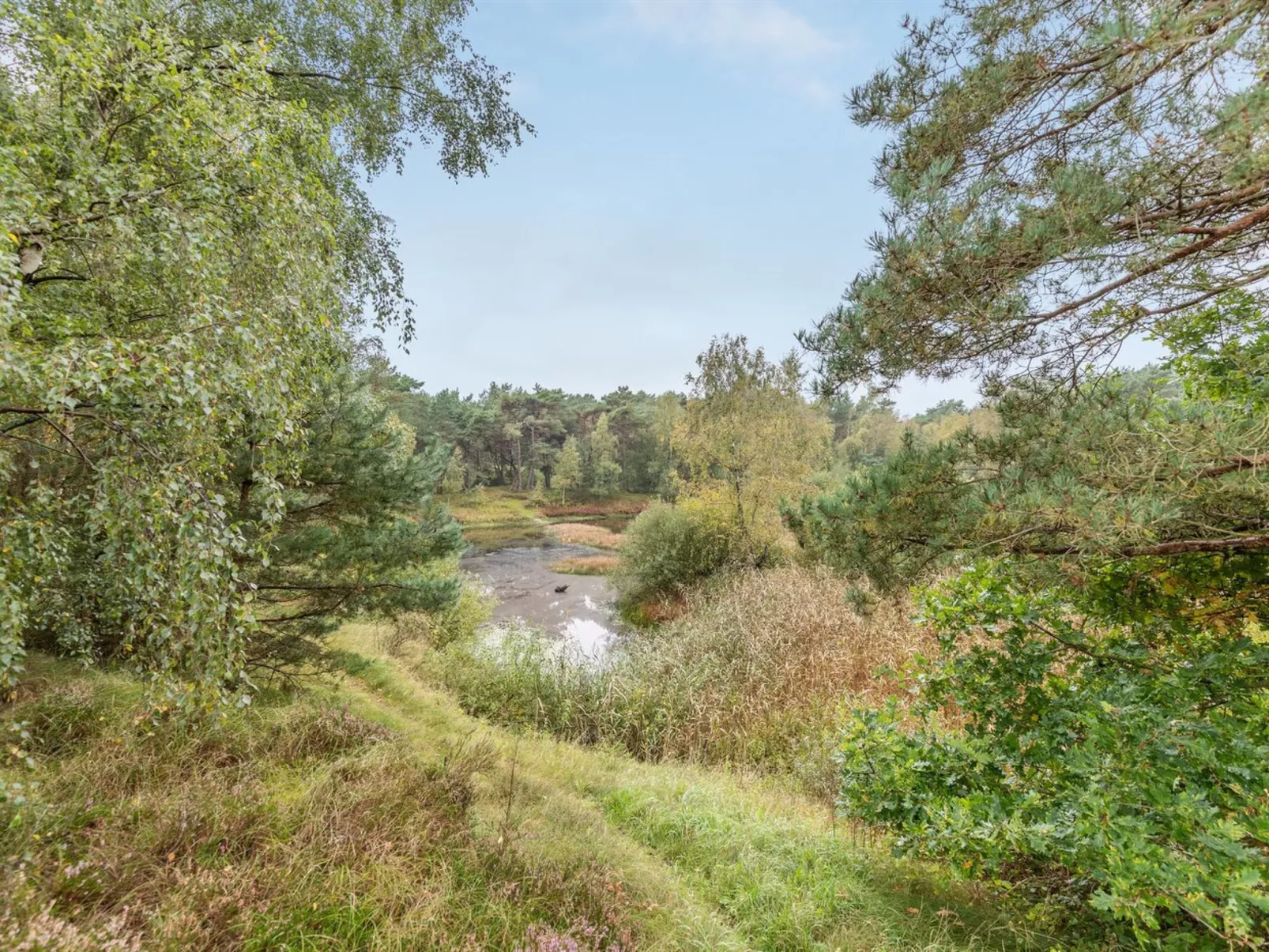 "Menke" - 150m from the sea-Binnen