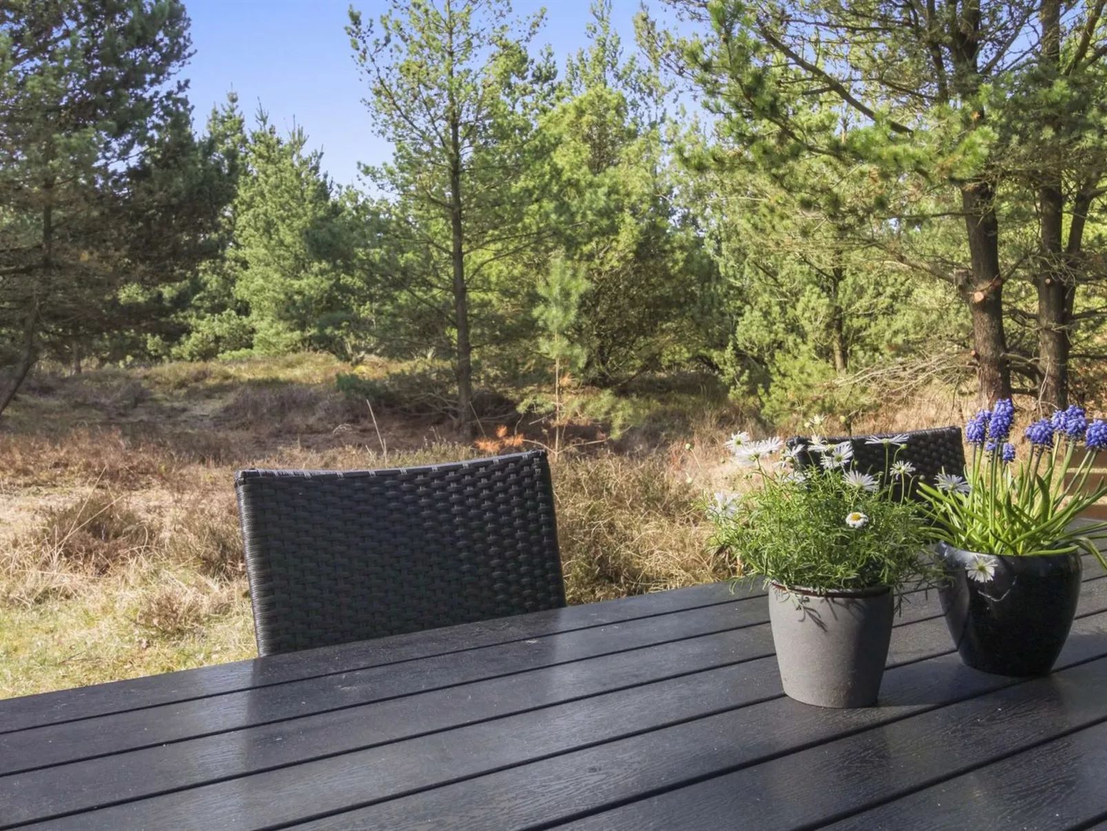 "Karri" - 1.1km from the sea-Binnen