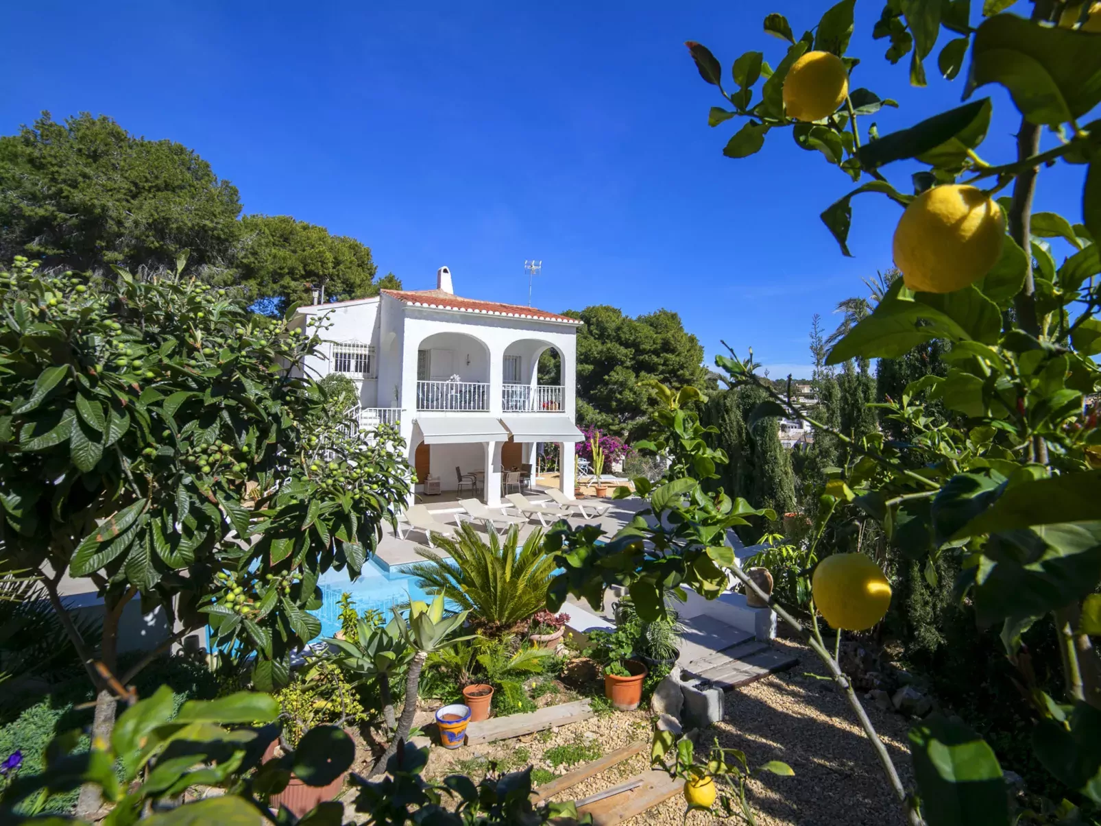 Cala Advocat-Buiten