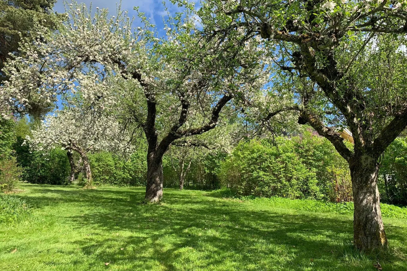 8 persoons vakantie huis in ÅKERSBERGA-Buitenlucht