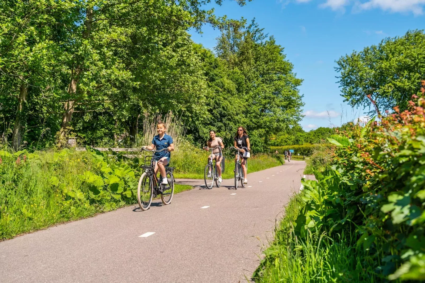 Resort De Woudhoeve 2-Parkfaciliteiten