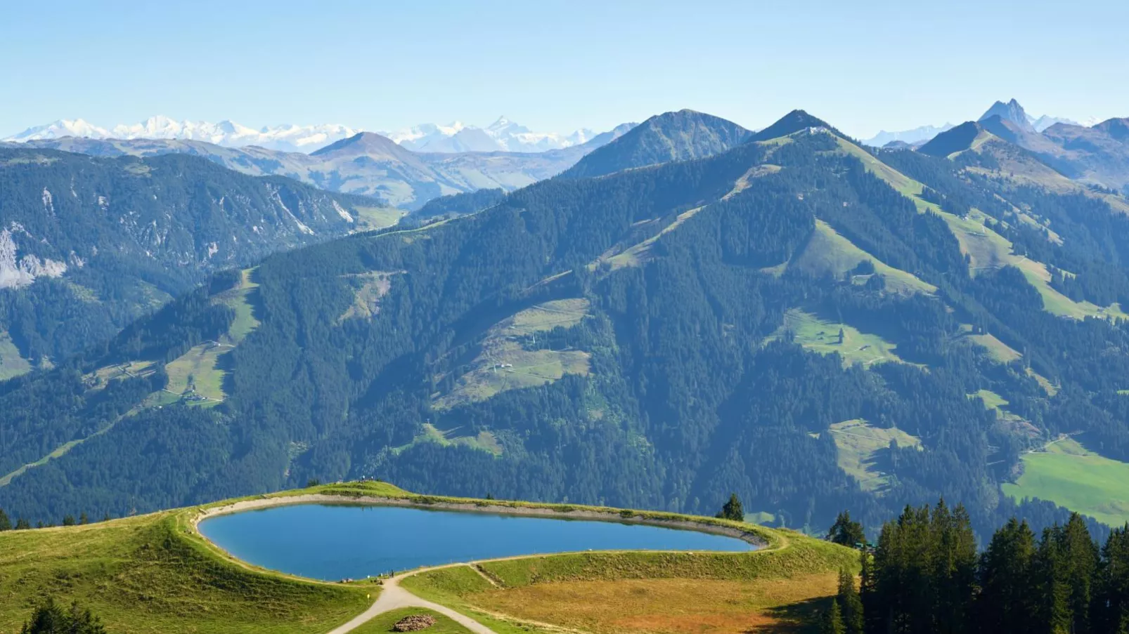 Marktblick-Gebieden zomer 5km