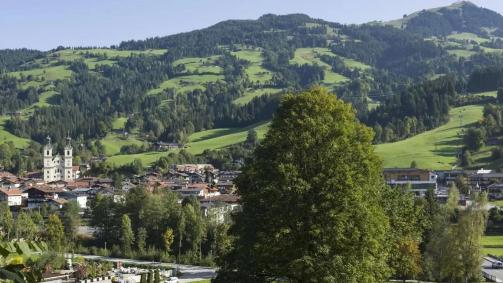 Marktblick-Gebieden zomer 1km