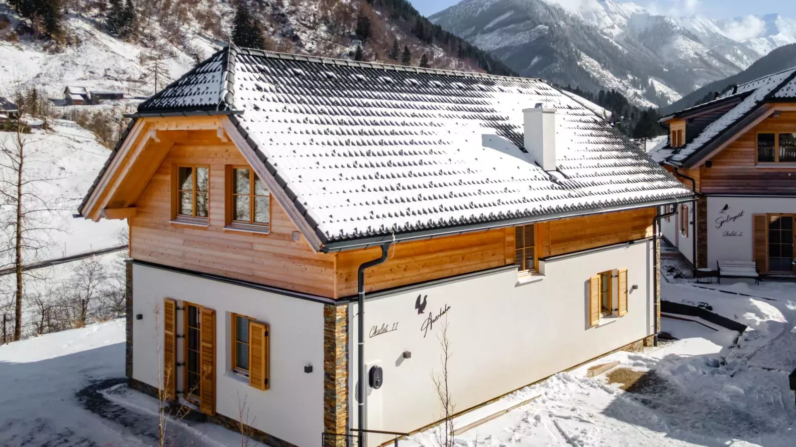 Auerhahn-Exterieur winter