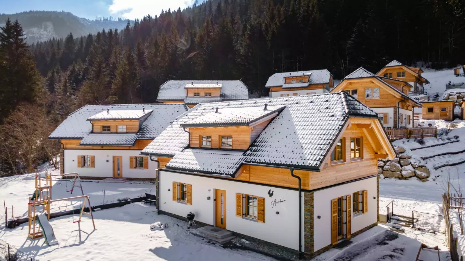 Auerhahn-Exterieur winter