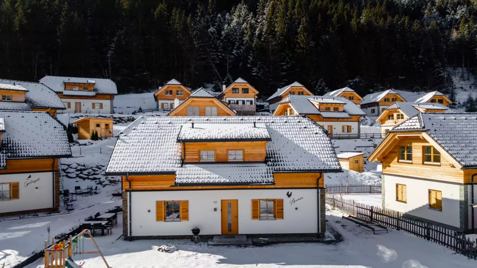 Auerhahn-Exterieur winter