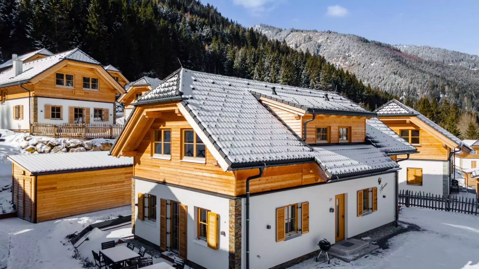 Auerhahn-Exterieur winter
