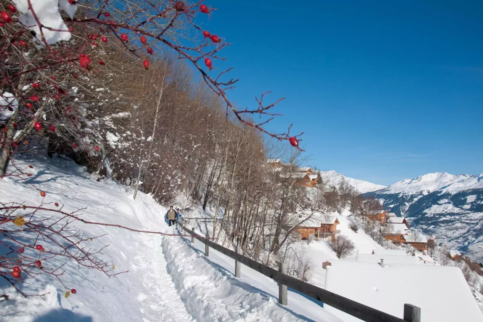 Plein Ciel VA 051 - MOUNTAIN apartment 8 pers