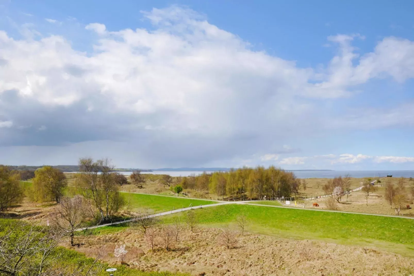 1-Zimmer-Apartment Seeseite "Am Park"-Gebieden zomer 1km