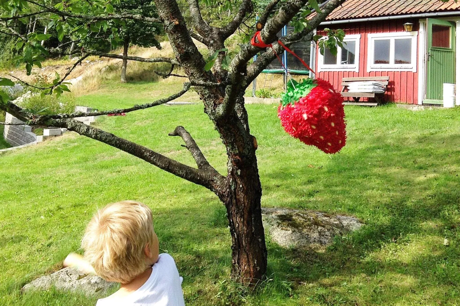 8 persoons vakantie huis in TROSA-Buitenlucht