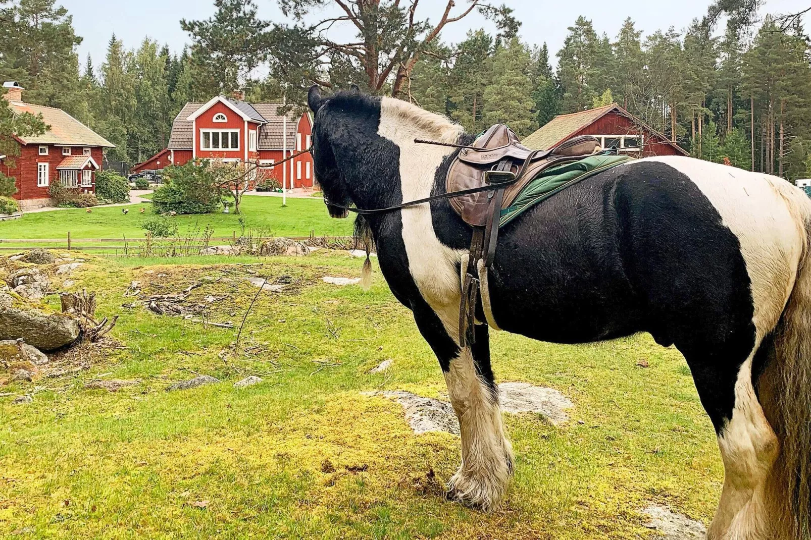 10 persoons vakantie huis in Hedesunda-Niet-getagd