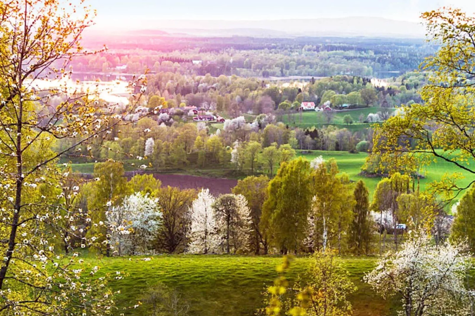 4 persoons vakantie huis in AXVALL-Buitenlucht