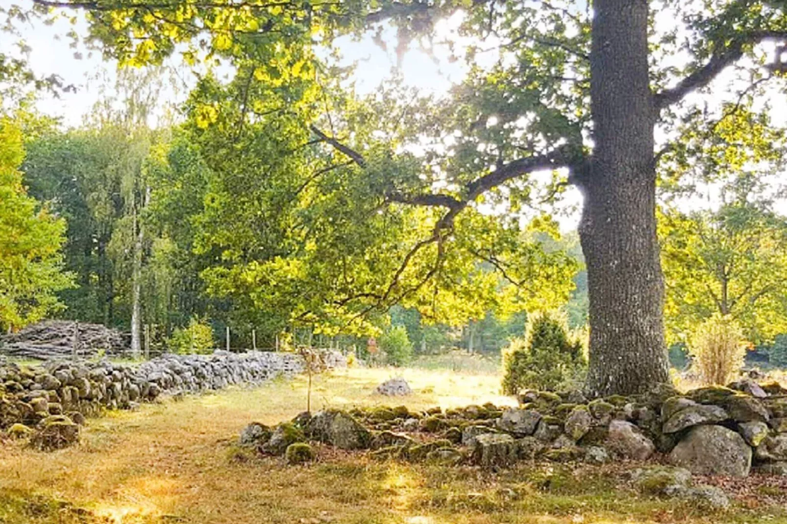 4 persoons vakantie huis in AXVALL-By Traum-Buitenlucht