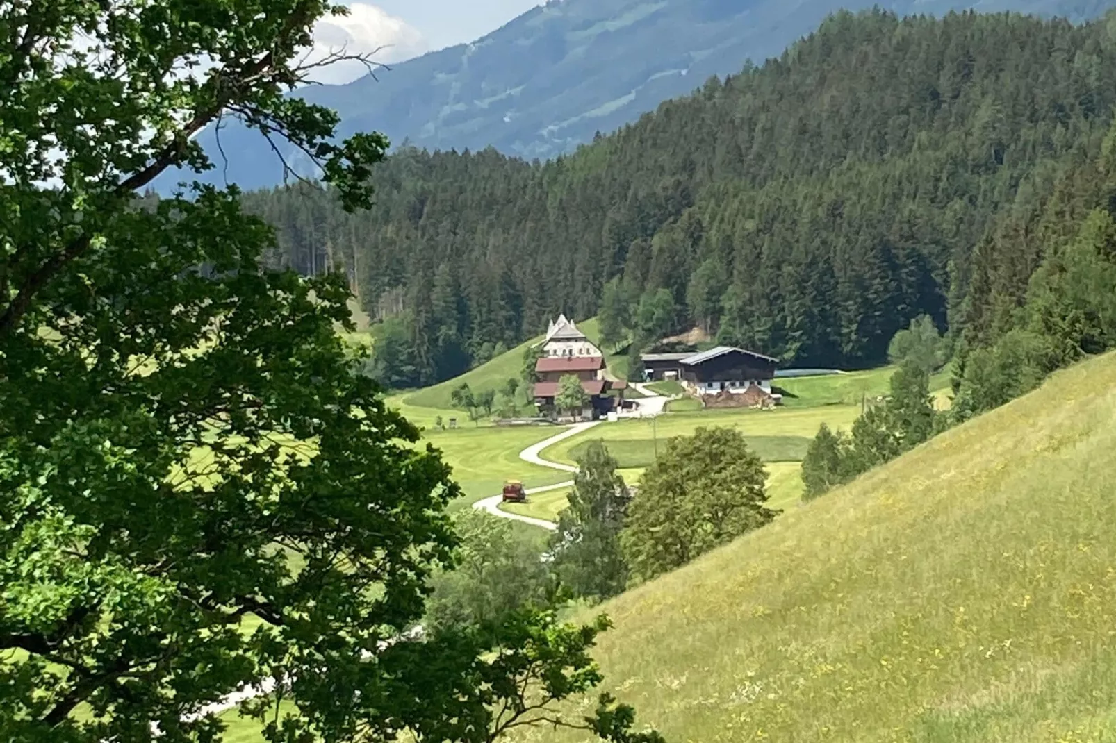 Fewo Pinzgau-Uitzicht zomer