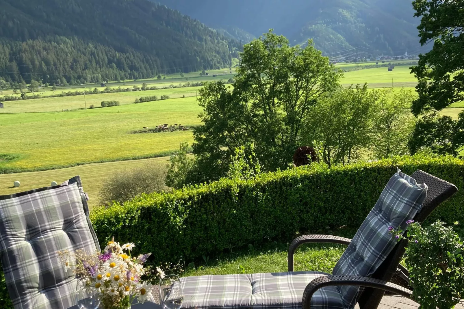 Fewo Pinzgau-Uitzicht zomer