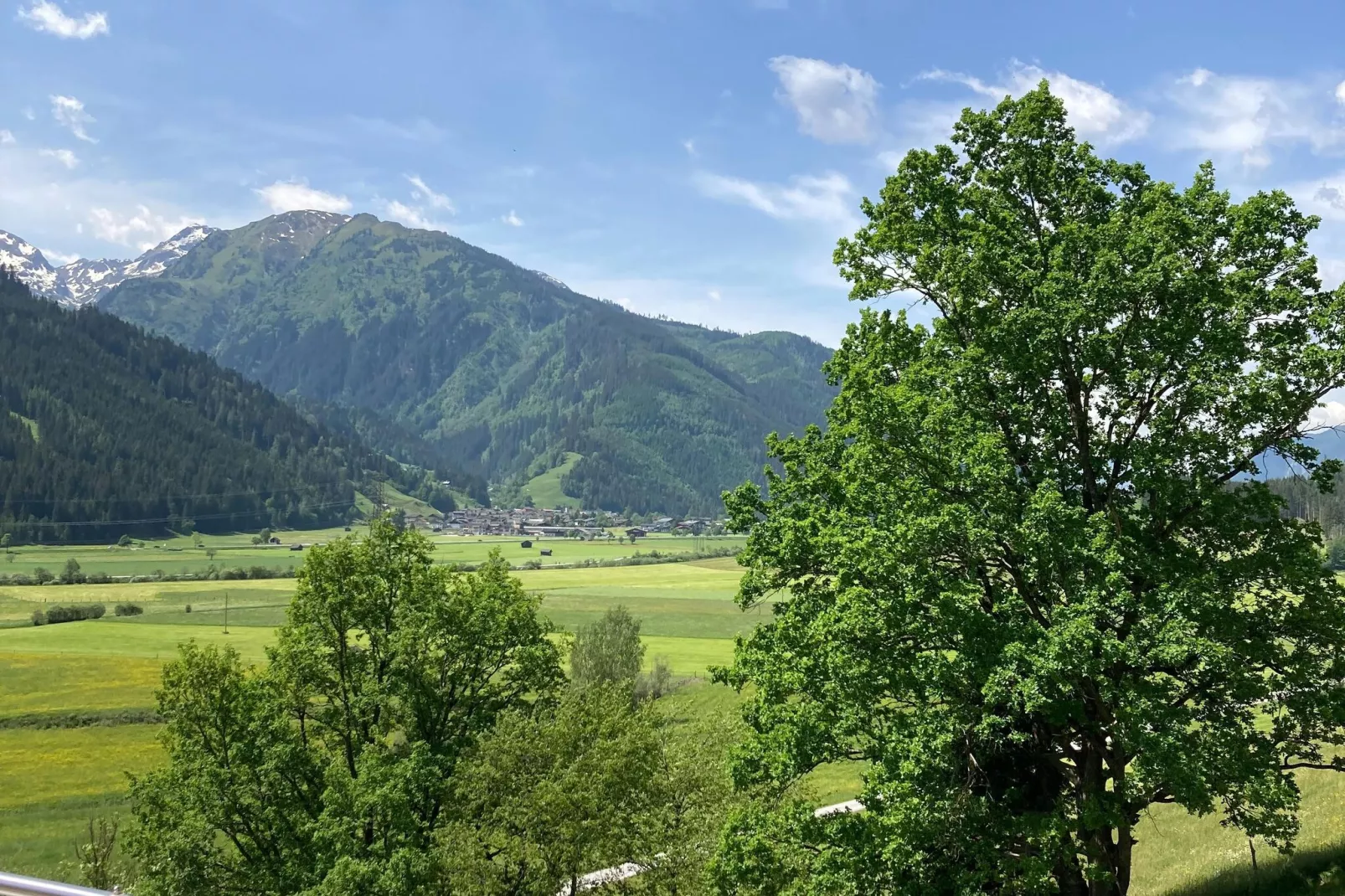 Fewo Pinzgau-Uitzicht zomer