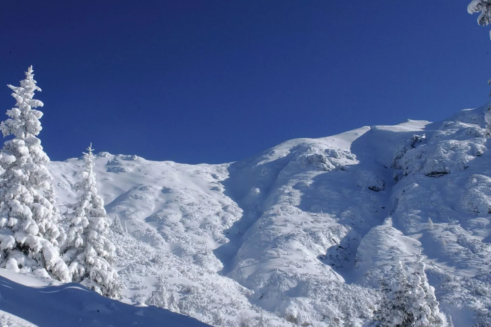 Menardi B-Gebied winter 20km