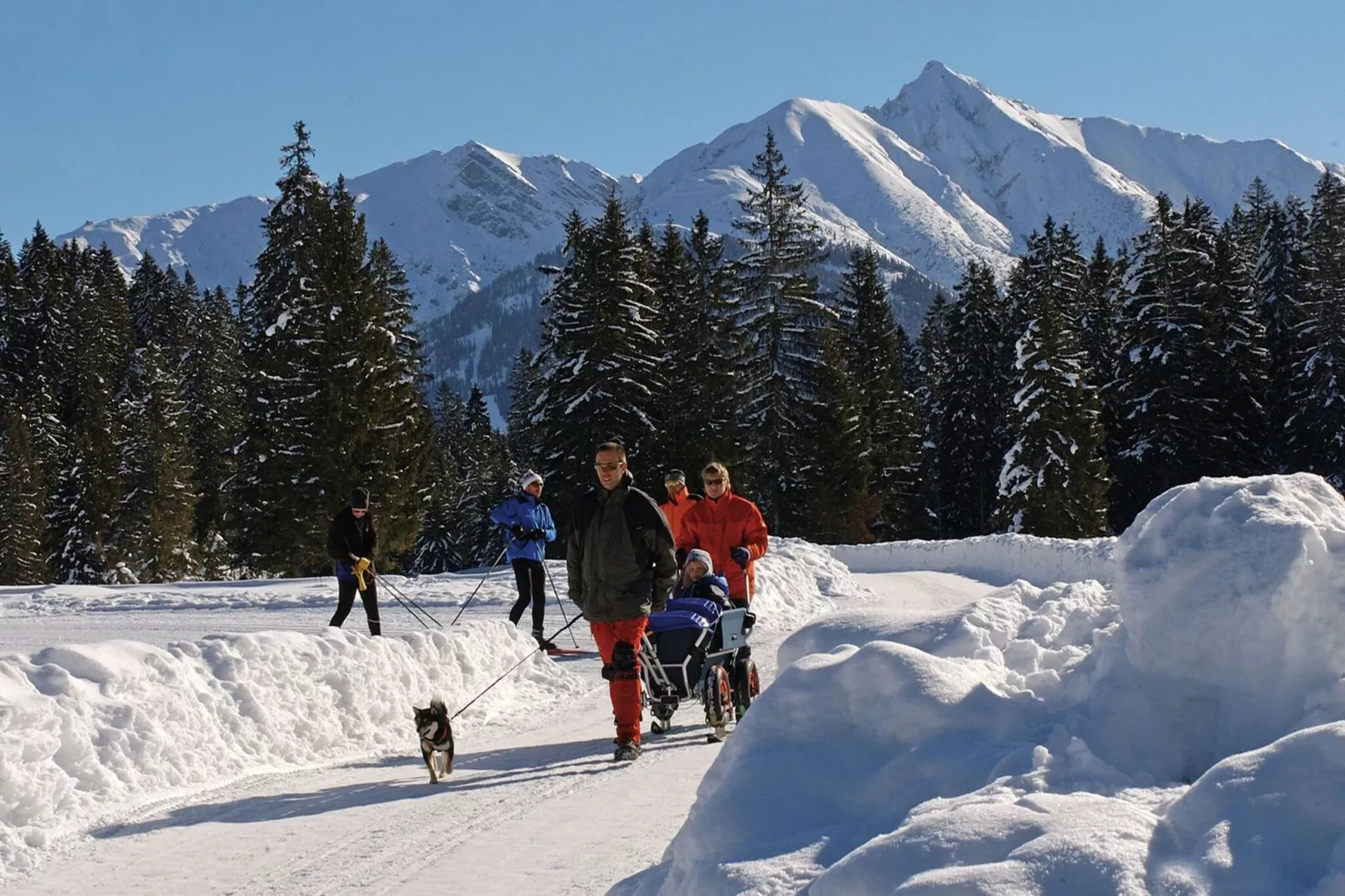 Menardi B-Gebied winter 20km