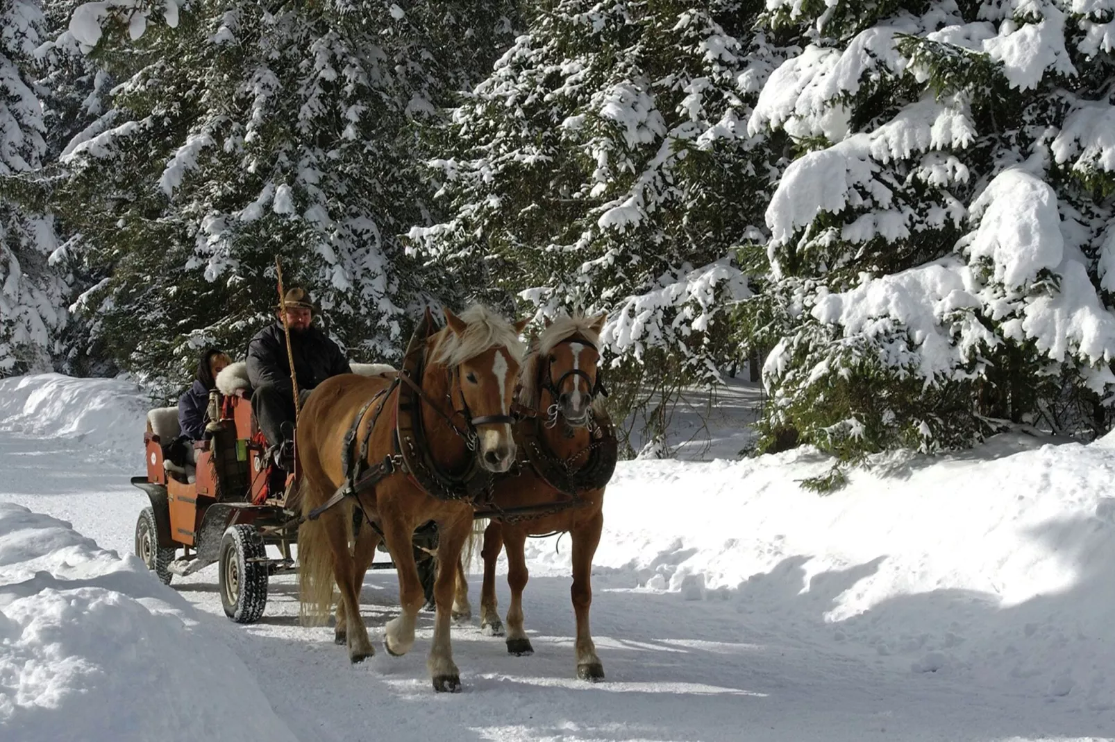 Menardi B-Gebied winter 20km