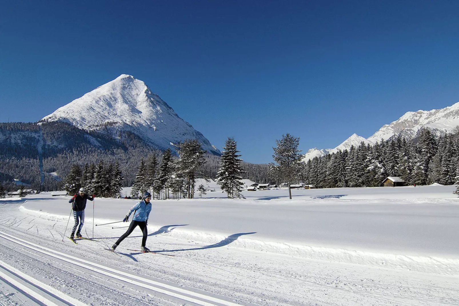 Menardi A-Gebied winter 20km