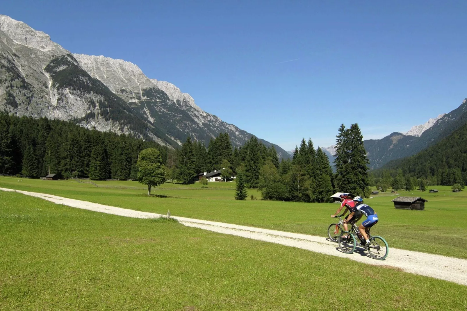 Menardi D-Gebieden zomer 20km