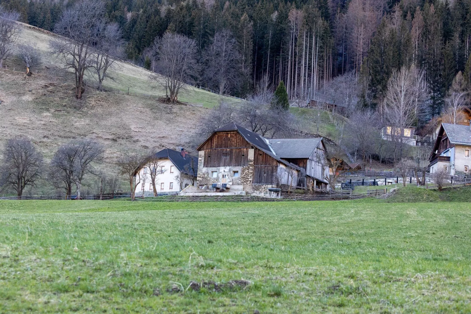 Chalet Jägerhütte-Gebieden zomer 1km
