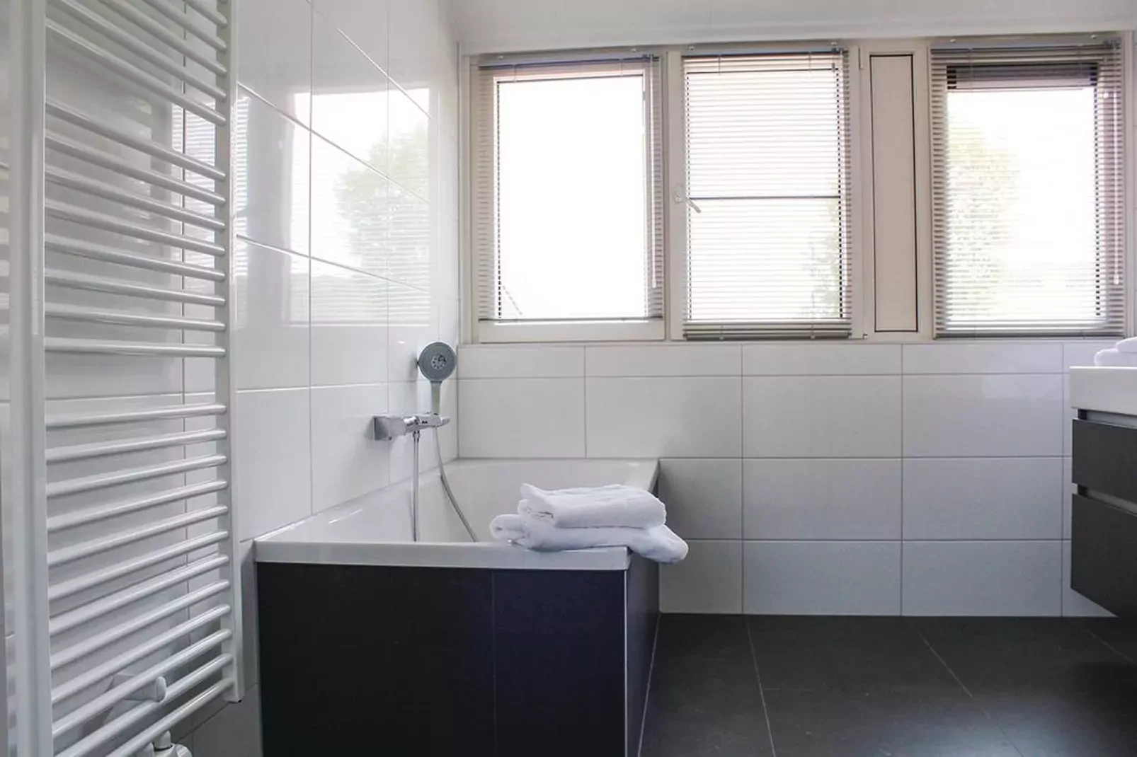 Recreatiepark Idskenhuizen 6-Badkamer