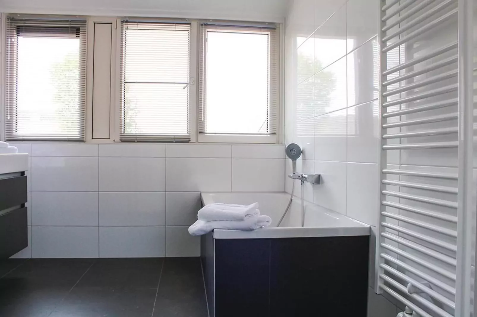Recreatiepark Idskenhuizen 6-Badkamer