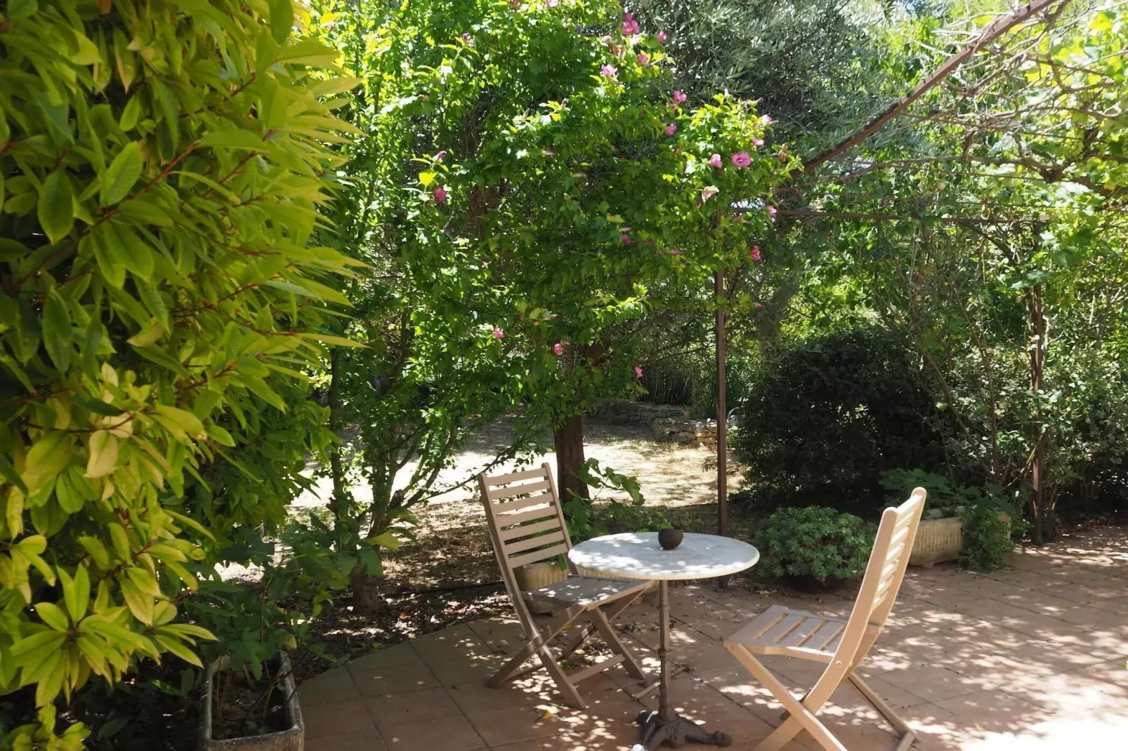 Ferienhaus in Vernègues-Tuinen zomer