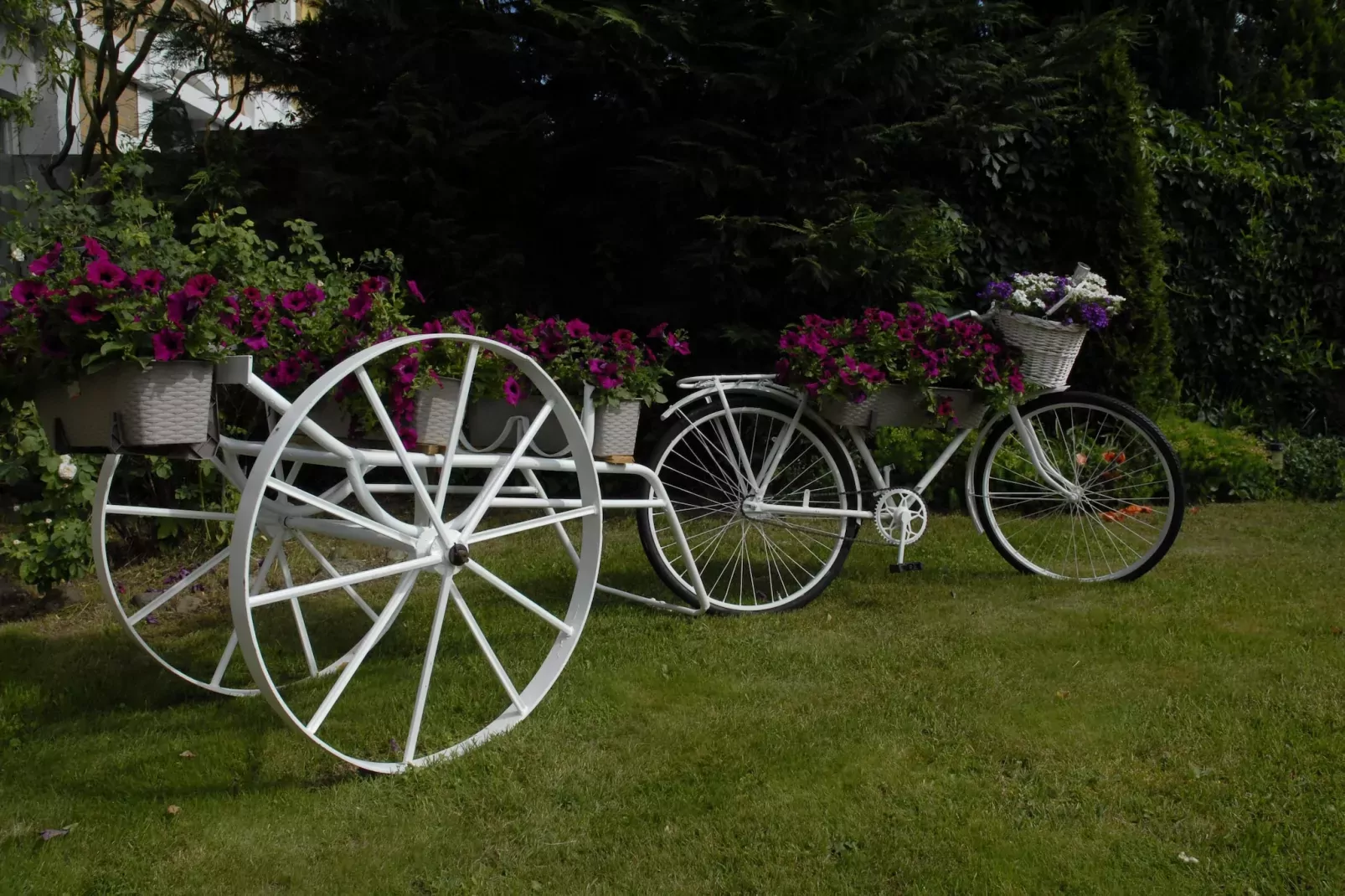 gardensummer