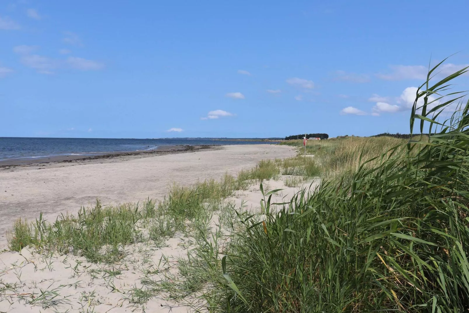 8 persoons vakantie huis in Förslöv-By Traum-Niet-getagd