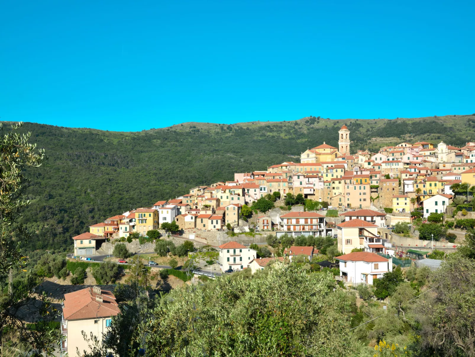 Vecchi Olivi-Omgeving