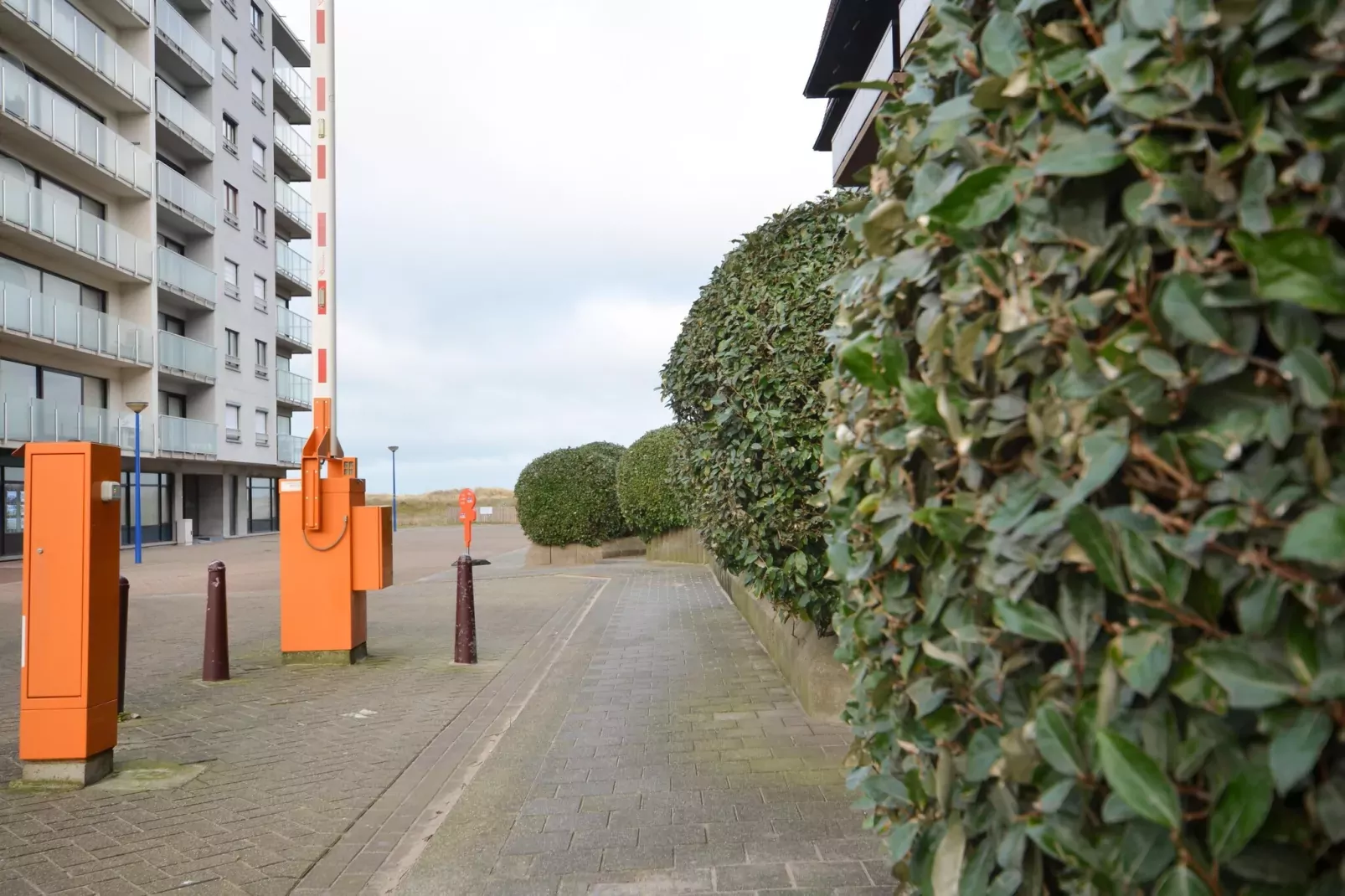 PLAZA I/2811-Gebieden zomer 1km