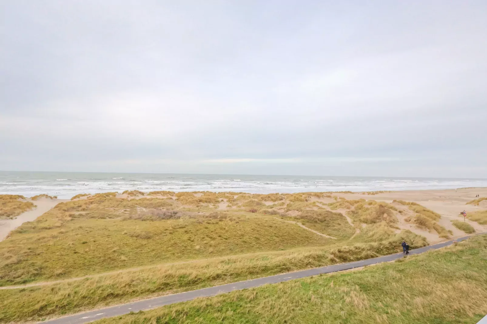 WESTDIEP/WEST31-Gebieden zomer 1km