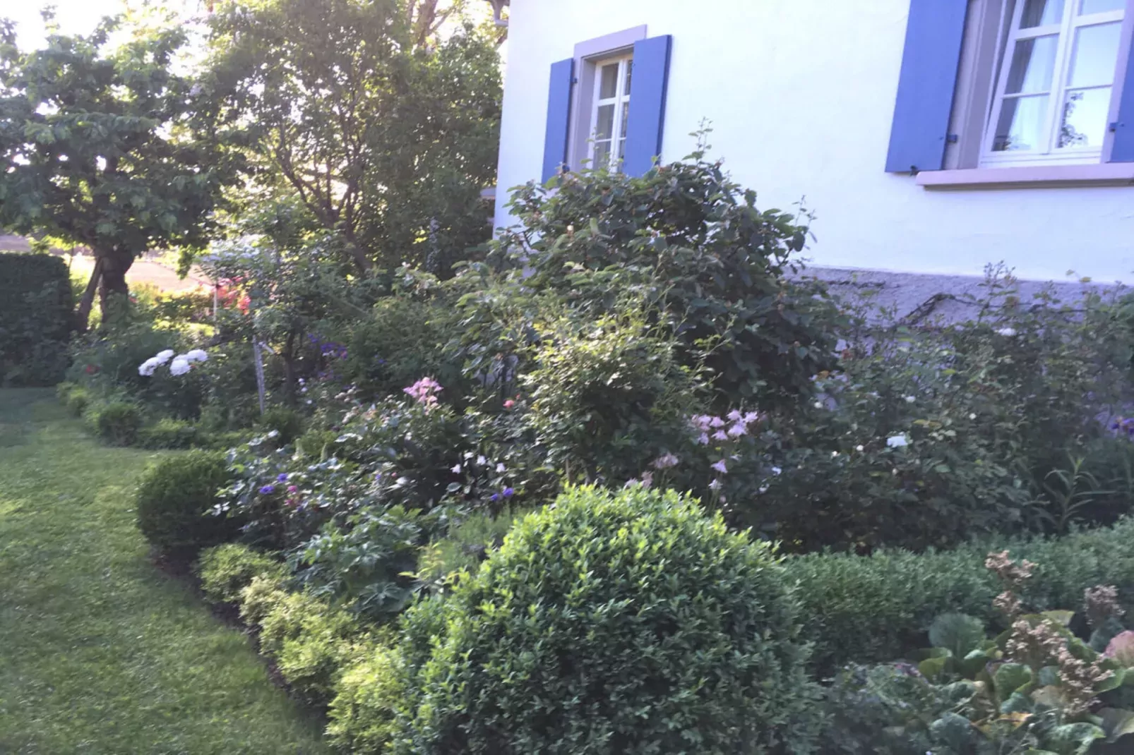 396499-Buitenkant zomer