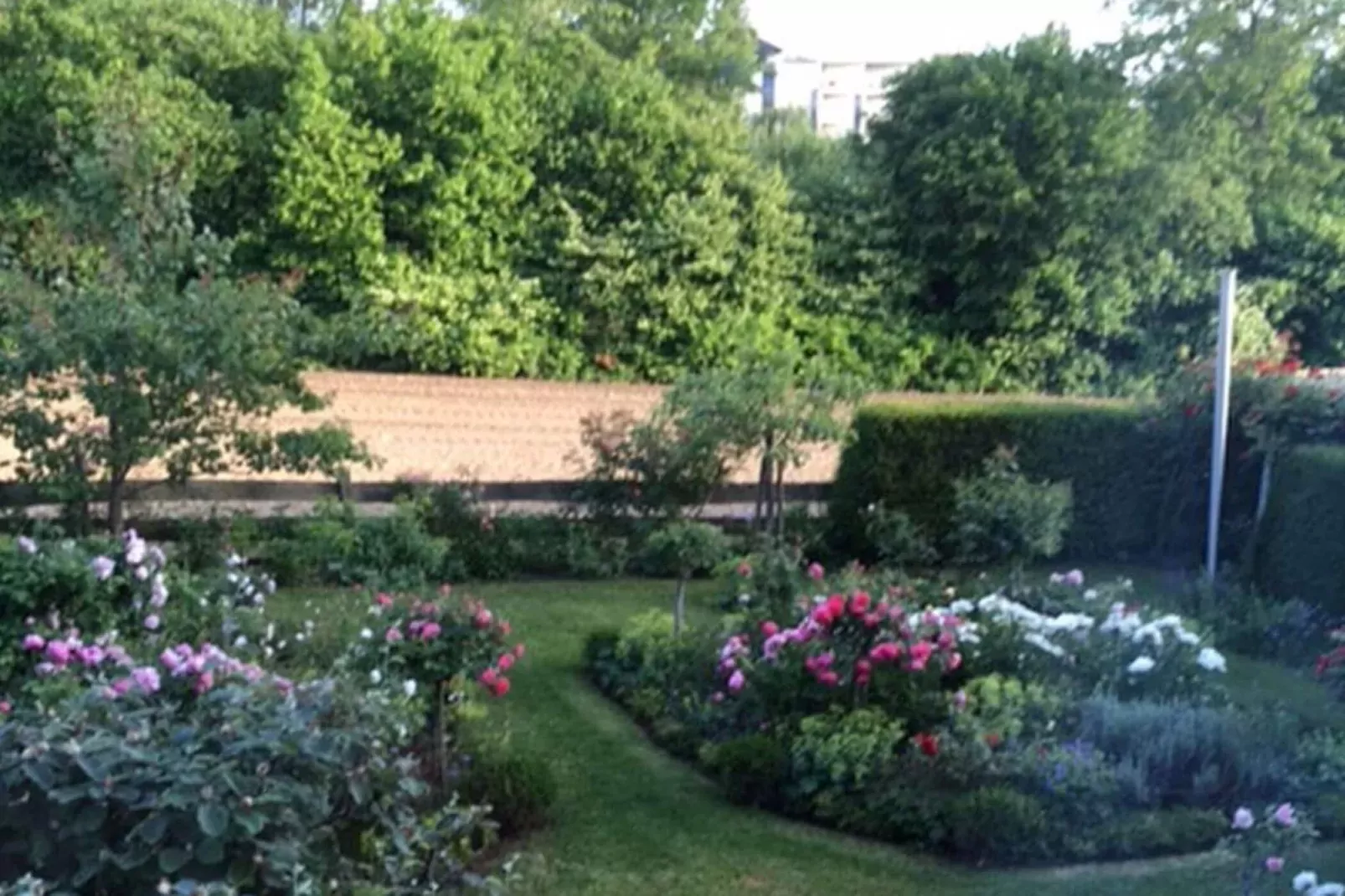 396499-Tuinen zomer