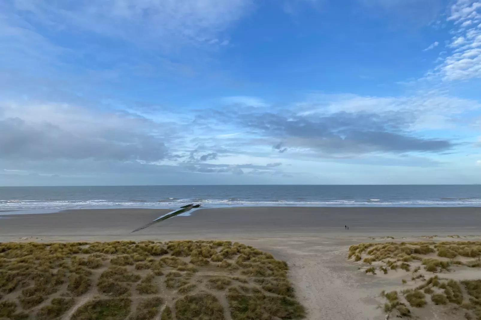 SEAWIND 503-Gebieden zomer 1km