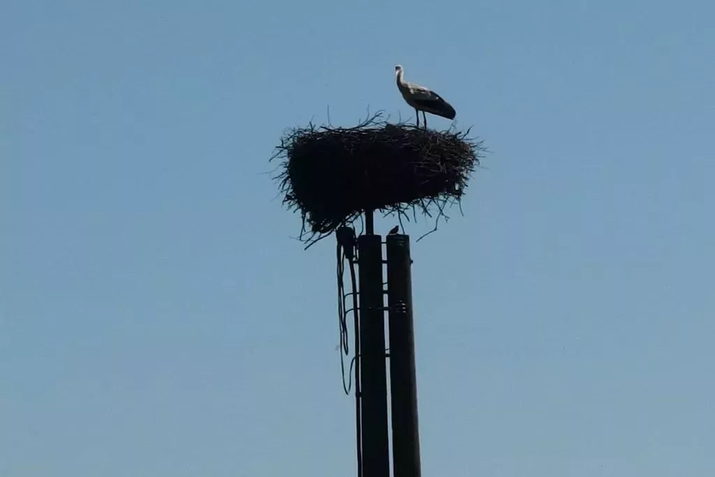 45560-Niet-getagd