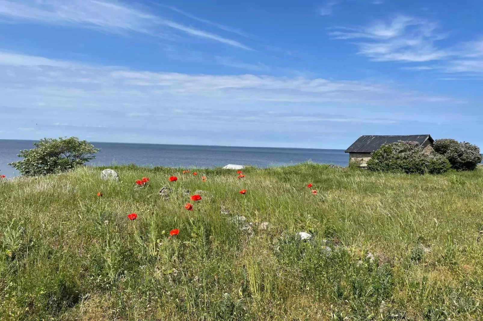 5 sterren vakantie huis in Löttorp-Niet-getagd