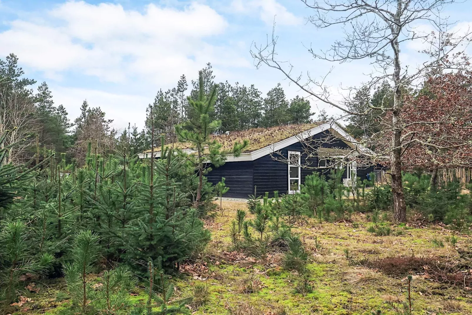 6 Personen vakantie huis in Blokhus-Uitzicht